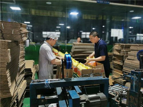 調(diào)結(jié)構(gòu)增產(chǎn)能，四川立白疫情期間產(chǎn)銷不降反升背后的軟件力量